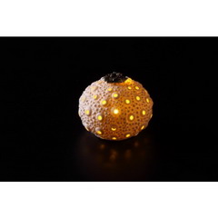 LED light