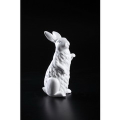 rabbit décor